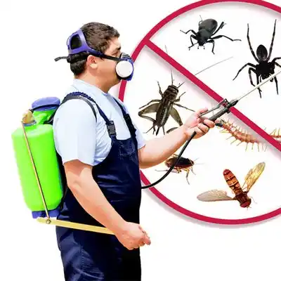 pest control Homeworth